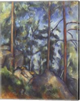 Pines, 1896-99 Fine Art Print