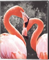 Flamingo II on BW Fine Art Print