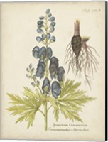 Eloquent Botanical II Fine Art Print