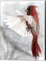 Cardinals II Fine Art Print