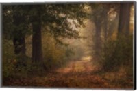 Autumn's Walk III Fine Art Print