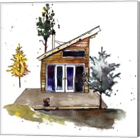 Rad Cabin IV Fine Art Print