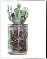 Cactus Mason Jar II Fine Art Print