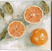 Fresh Citrus III Fine Art Print