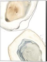 Ocean Oysters III Fine Art Print