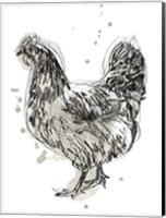 Feathered Fowl IV Fine Art Print