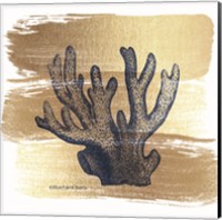 Brushed Gold Elkhorn Coral Fine Art Print