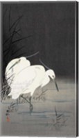 Two Egrets in the Reeds, 1900-1930 Fine Art Print