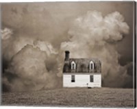 Lone House in Brown Fine Art Print