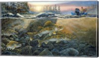 Walleyes On The Rocks Fine Art Print