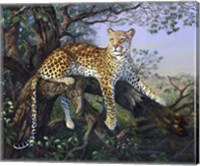 Leopard's Domain Fine Art Print