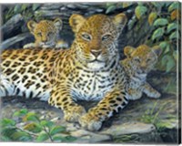 Leopards' Lair Fine Art Print