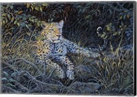 Night Of The Hunter Fine Art Print