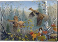 October Wings Fine Art Print