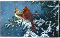 Sharing The Season - Cardinals Fine Art Print