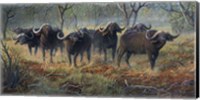 Cape Buffalo Fine Art Print