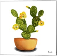 Cactus Flowers III Fine Art Print