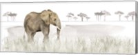 Serengeti Elephant horizontal panel Fine Art Print