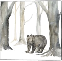 Winter Forest Bear Fine Art Print