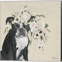 Dog and Flower Fine Art Print