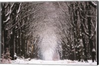Winter Tunnel Fine Art Print