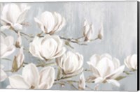 White Magnolia Fine Art Print