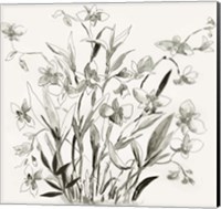 Cherishing Flora Fine Art Print
