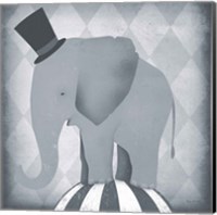 Circus Elephant Gray Fine Art Print