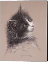 Pretty Kitty Fine Art Print