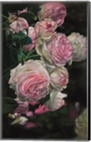 Roses from Pat Fine Art Print