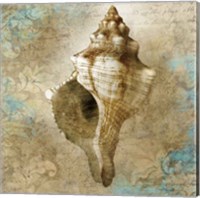 Aquatic Allure Fine Art Print