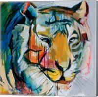 Tiger Tiger Fine Art Print