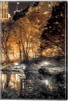 Central Park Glow III Fine Art Print