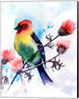 Tropical Bird III Fine Art Print