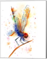 Dragonfly II Fine Art Print
