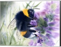Bee IV Fine Art Print