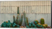 Cactus Garden Fine Art Print