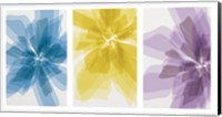 Three X-Ray Flowers Fine Art Print