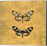 Pair of Butterflies on Gold Fine Art Print