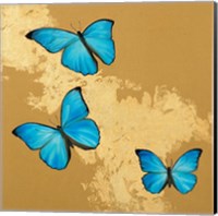 Cerulean Butterfly II Fine Art Print