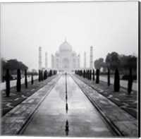 Taj Mahal - A Tribute to Beauty Fine Art Print