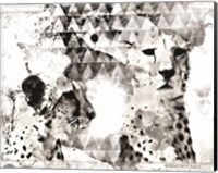 Modern Black & White Cheetahs Fine Art Print