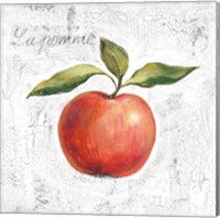 La Pomme on White Fine Art Print