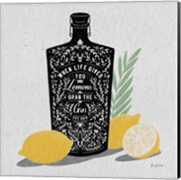 Fruity Spirits Gin Fine Art Print