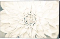 Bright White Bloom I Fine Art Print