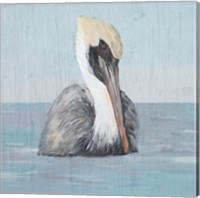 Pelican Wash II Fine Art Print