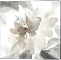 Soft May Blooms I Fine Art Print