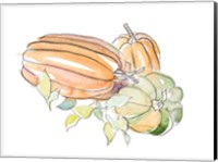 Harvest Pumpkin and Squash I Fine Art Print
