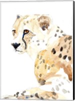 Seated Cheetah Fine Art Print