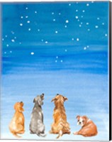 Four Dogs Star Gazing Fine Art Print